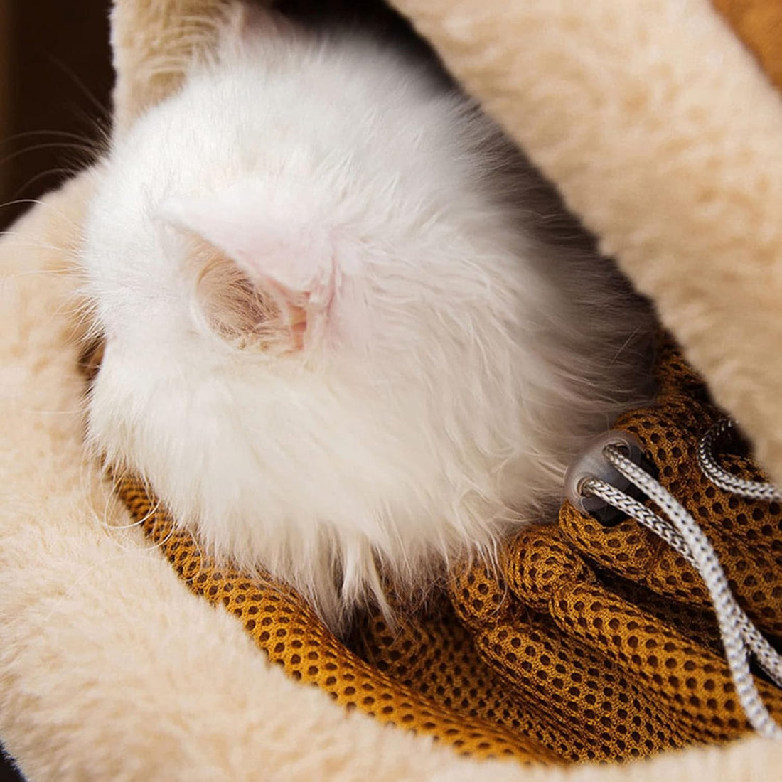 Pet Winter Outdoor Carrier