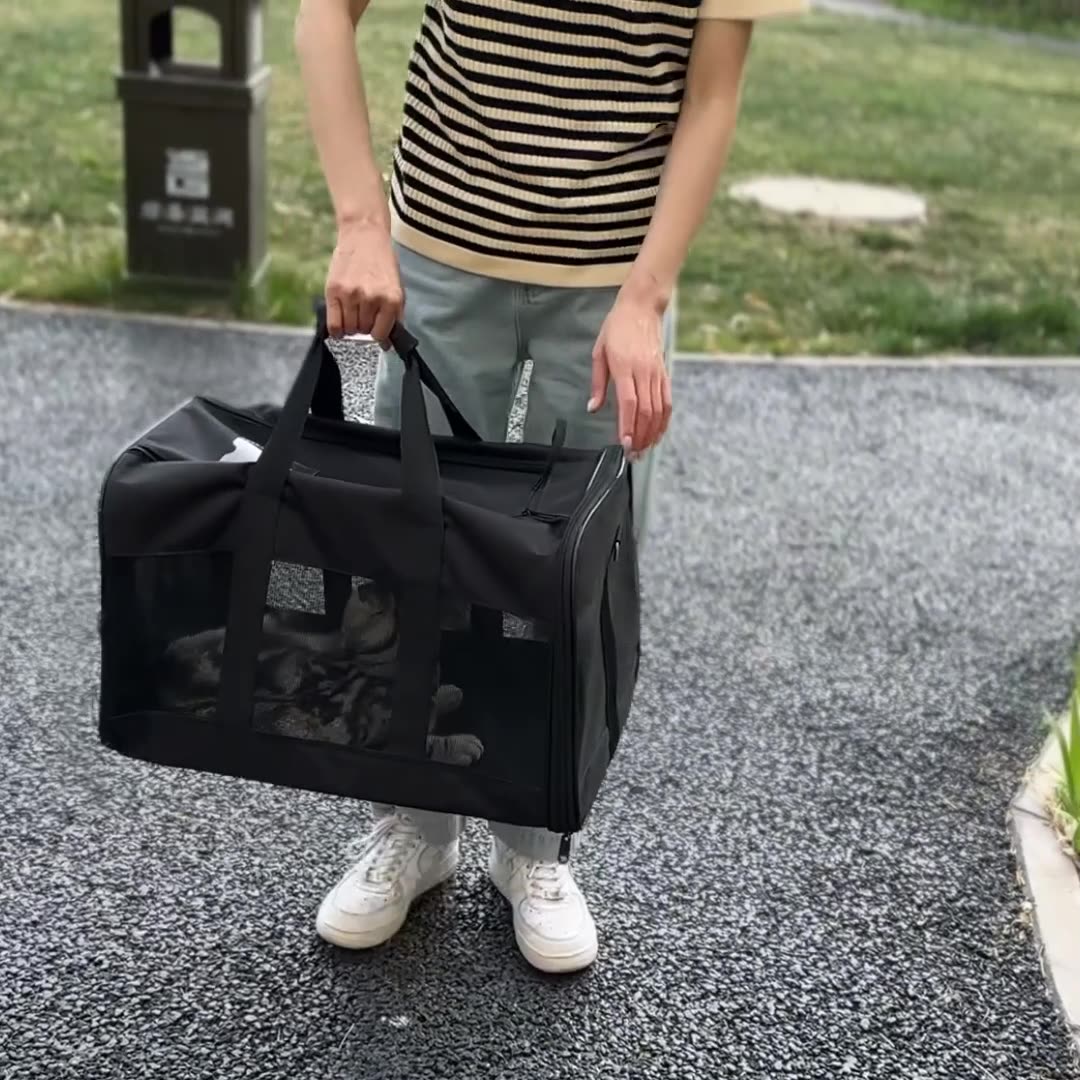 Portable Transport Travel Breathable Pet Carrier