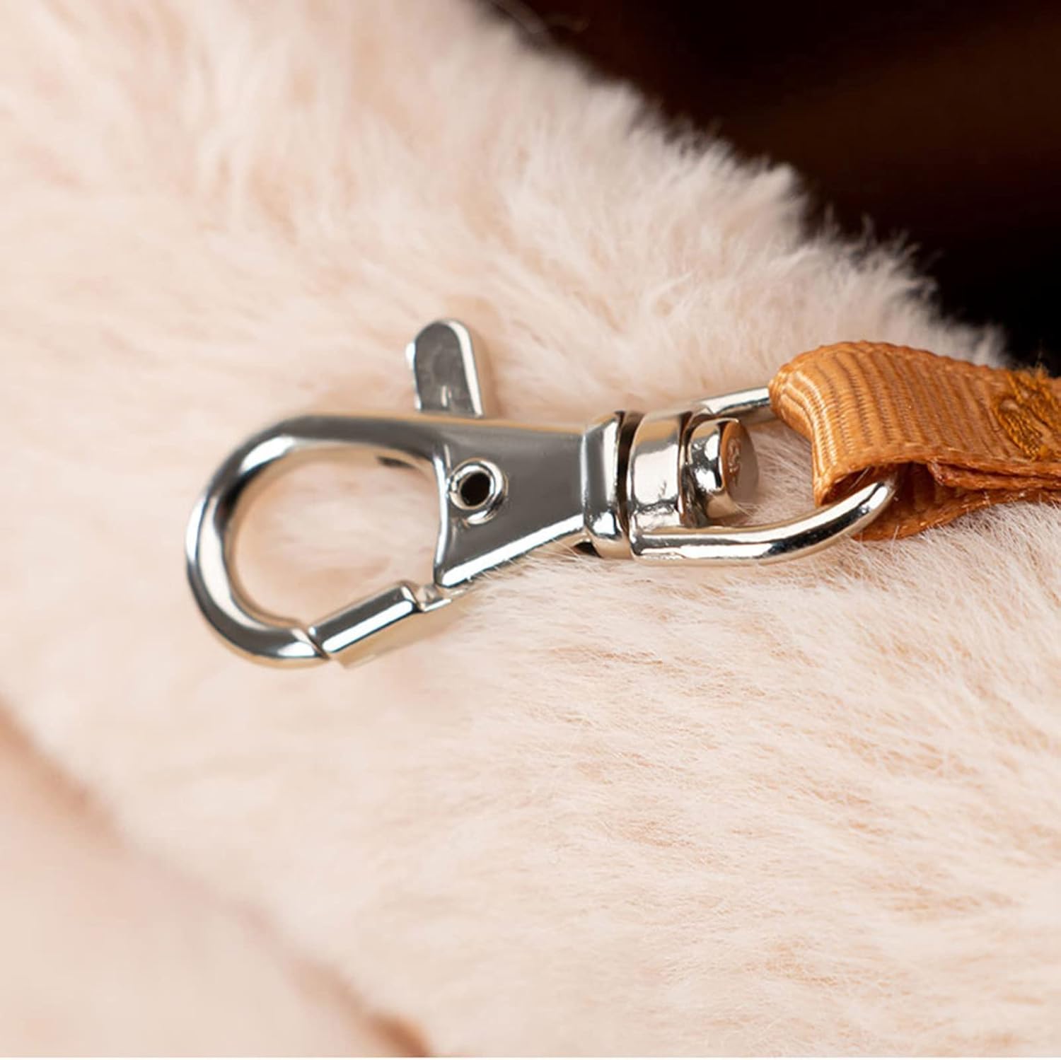 Pet Winter Outdoor Carrier