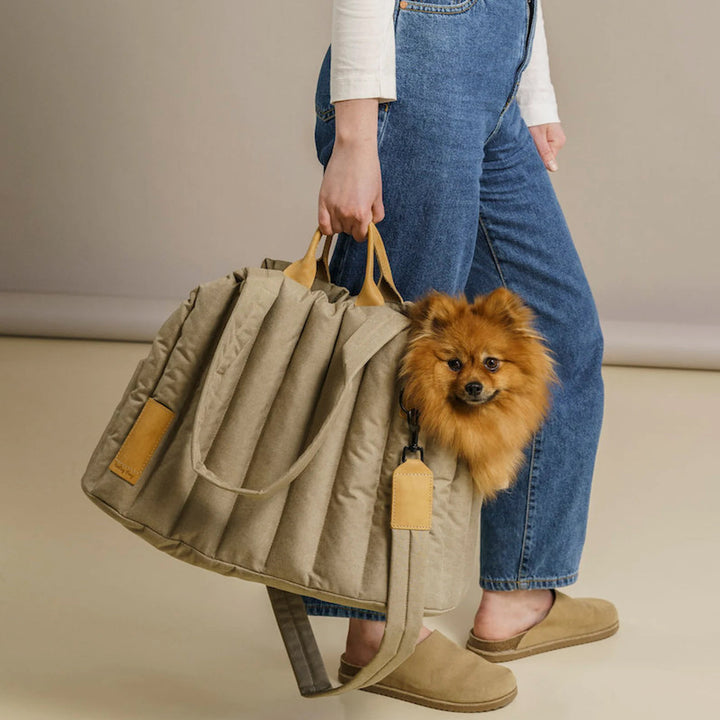 Pet Dog Cat Bag Carrier Handbag
