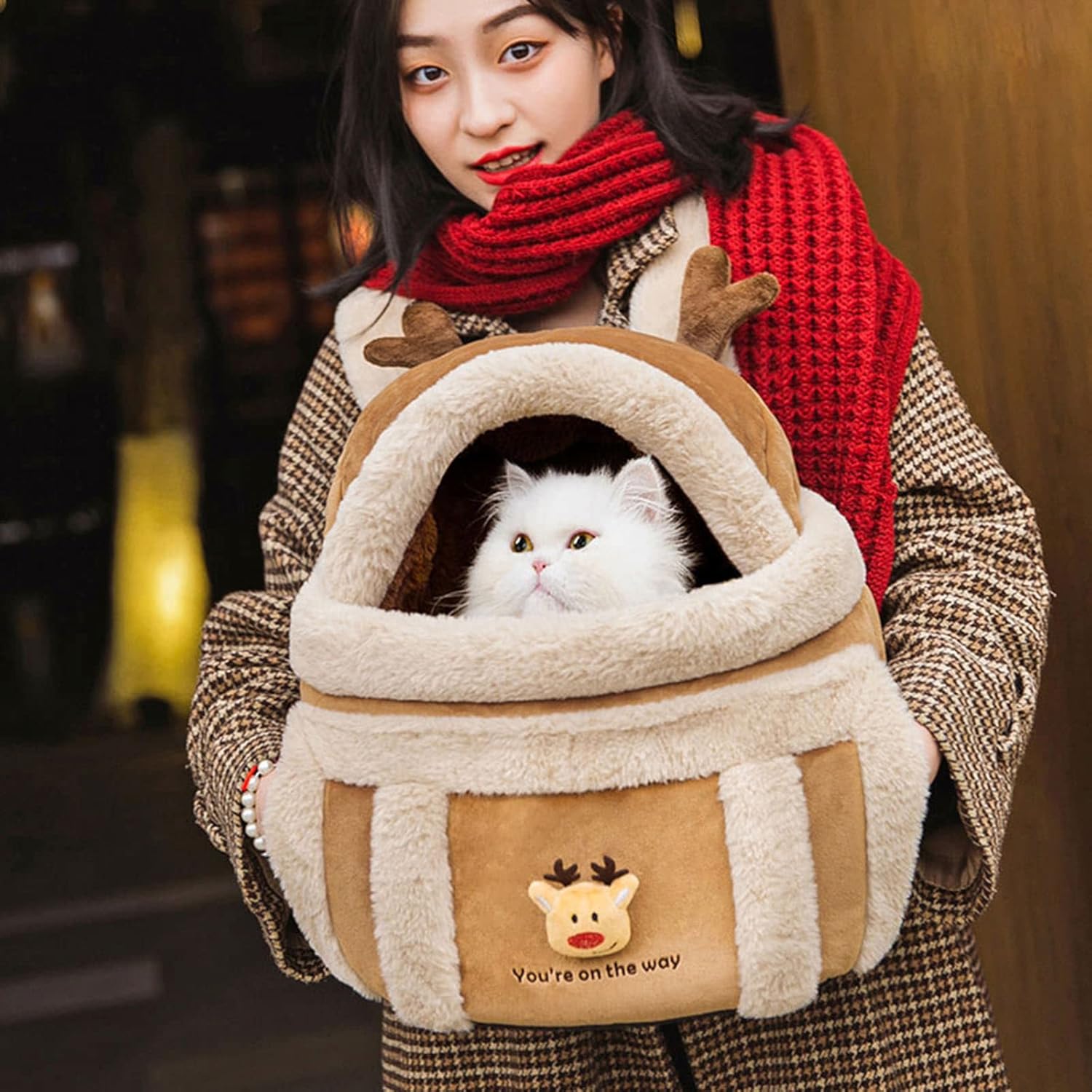 Pet Winter Outdoor Carrier