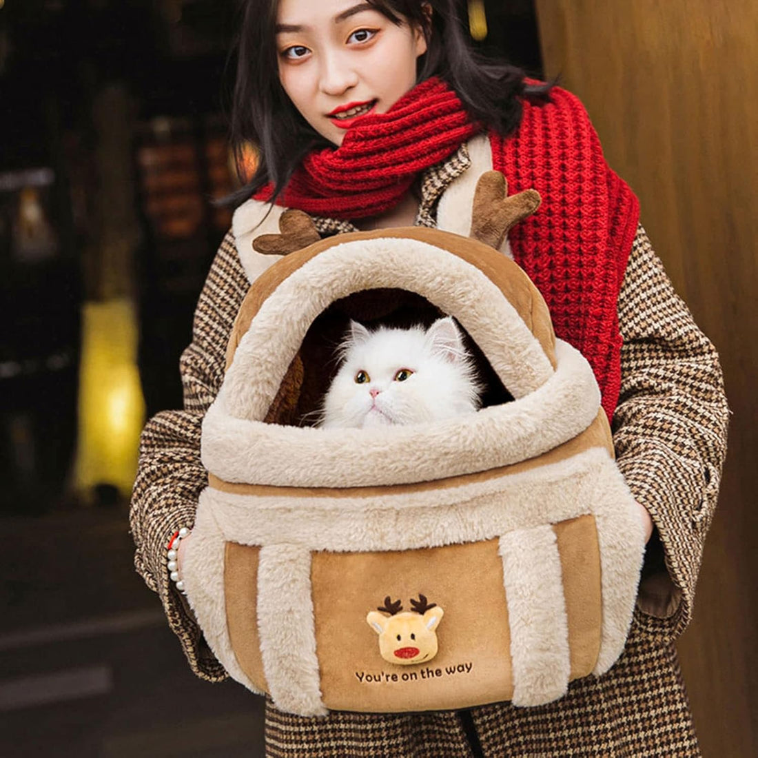 Pet Winter Outdoor Carrier